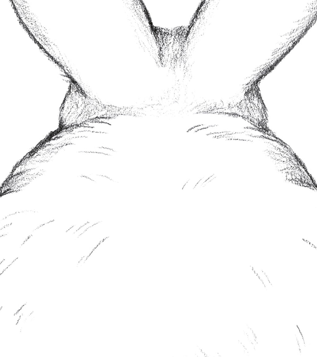 BUNNY - Affiche enfant - Lapin de dos