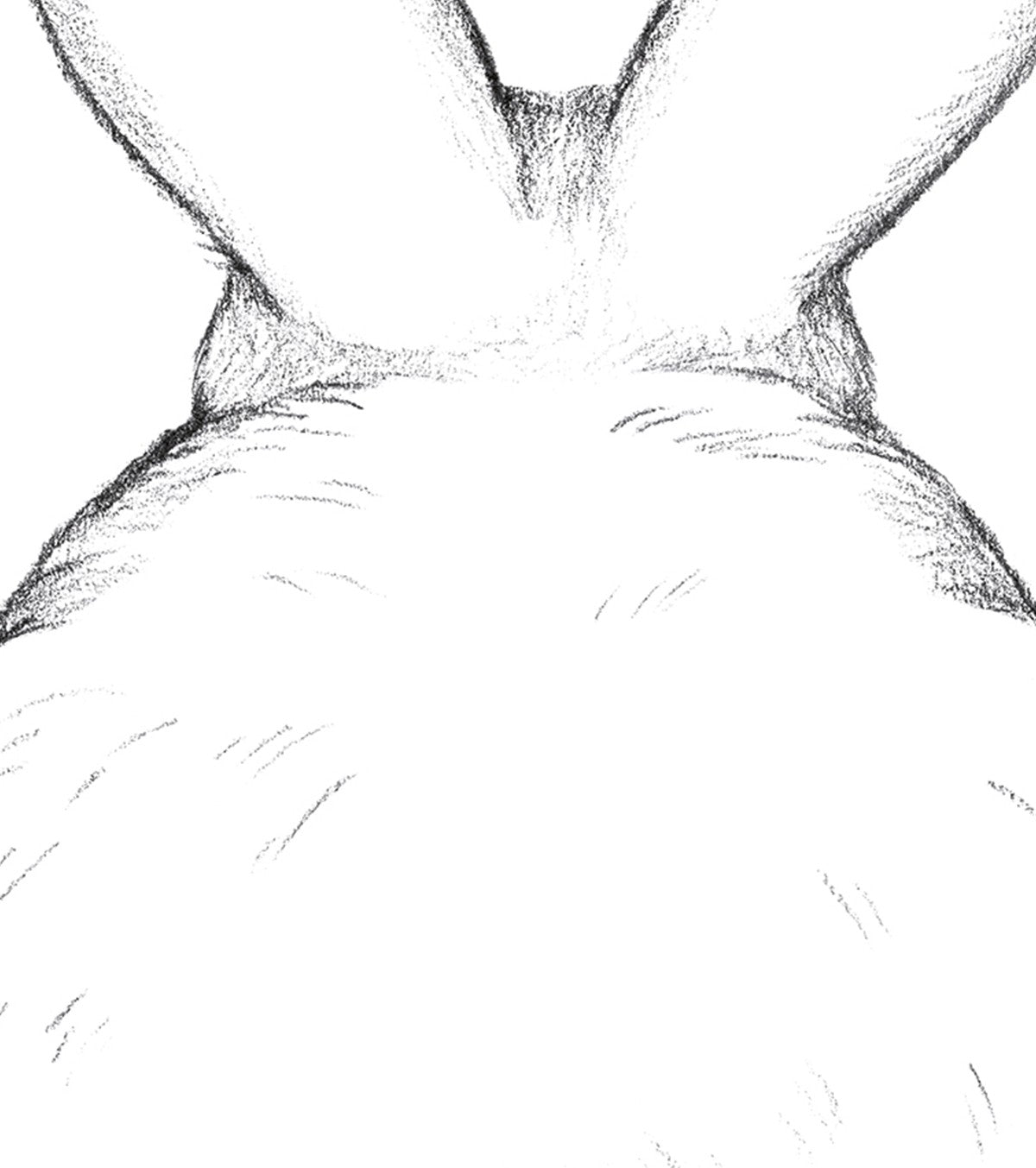 BUNNY - Affiche enfant - Lapin de dos