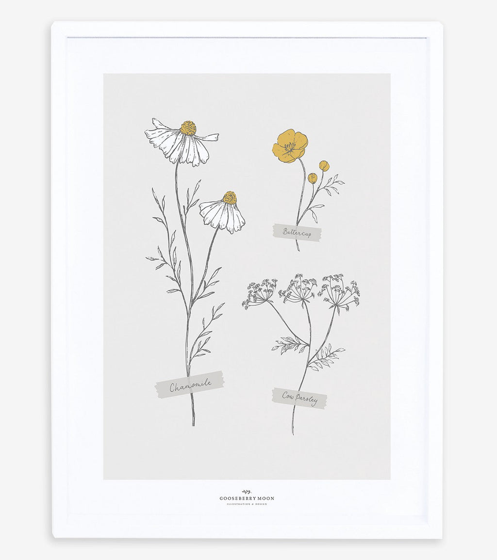 CHAMOMILE - Affiche encadrée enfant - Fleurs des champs