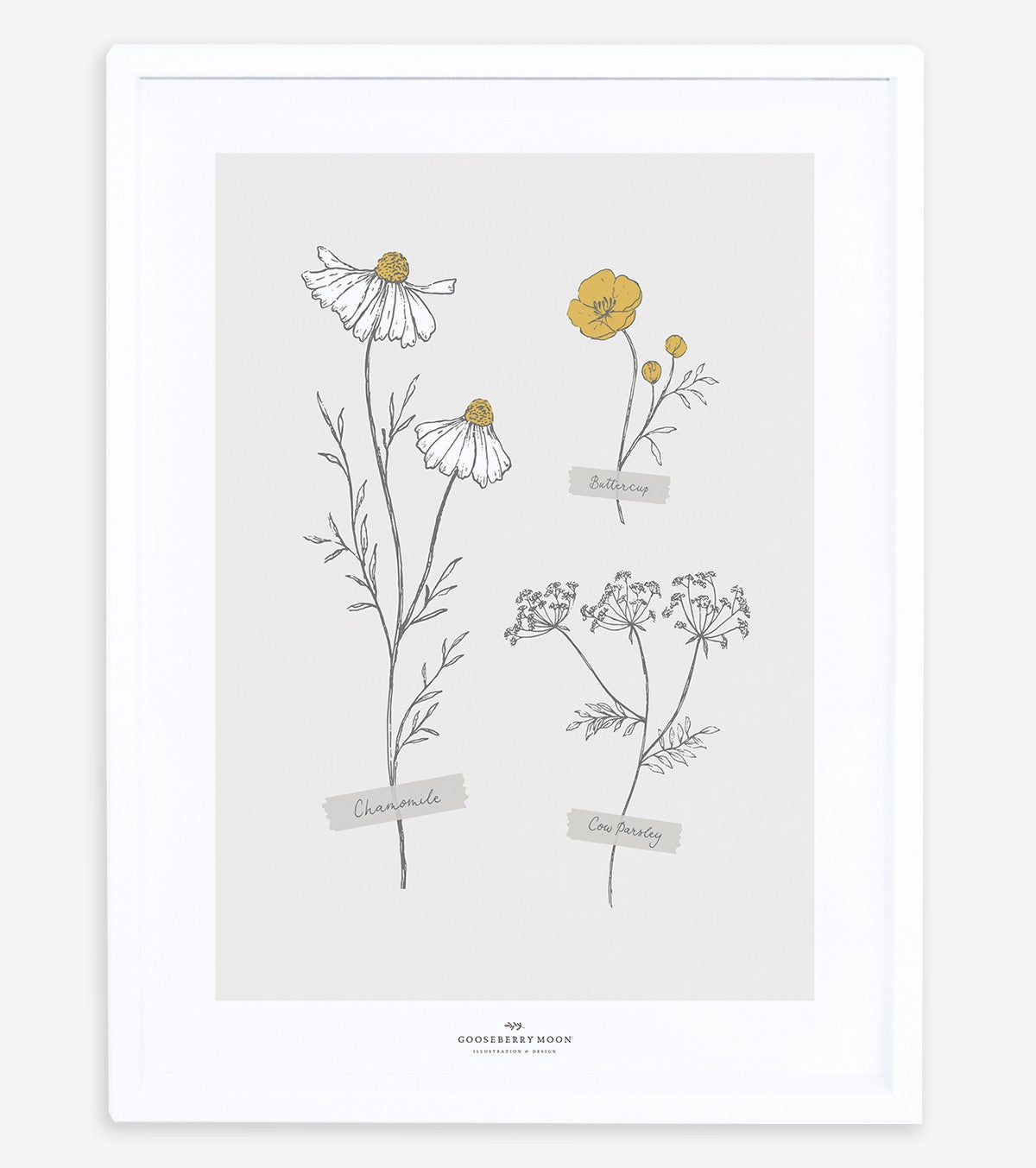 CHAMOMILE - Affiche enfant - Fleurs des champs