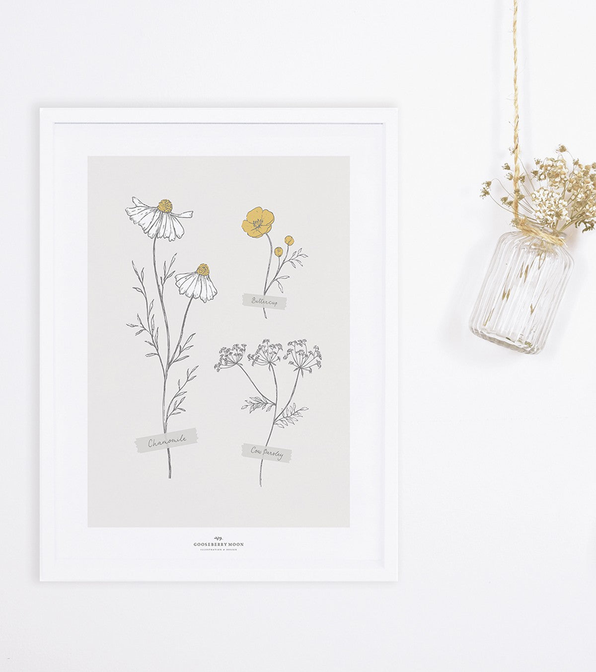 CHAMOMILE - Affiche encadrée enfant - Fleurs des champs