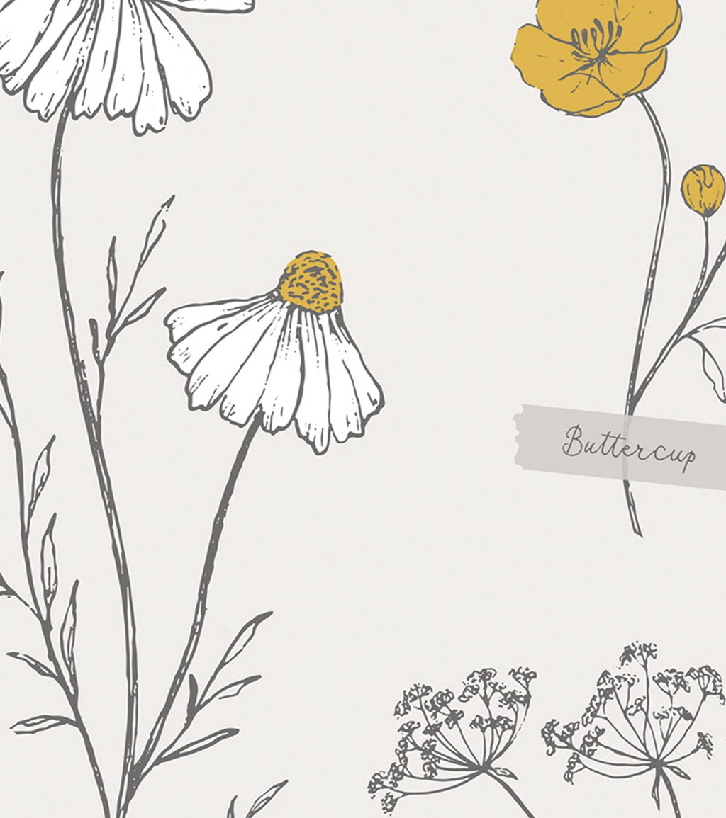 CHAMOMILE - Affiche enfant - Fleurs des champs